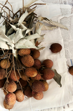 Coconut & Lychee 25.4 oz All-Purpose Spray Cleaner - Daily Favorite