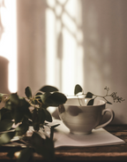 Eucalyptus Mint 16.9 oz Toilet Bowl Cleaner - Daily Favorite