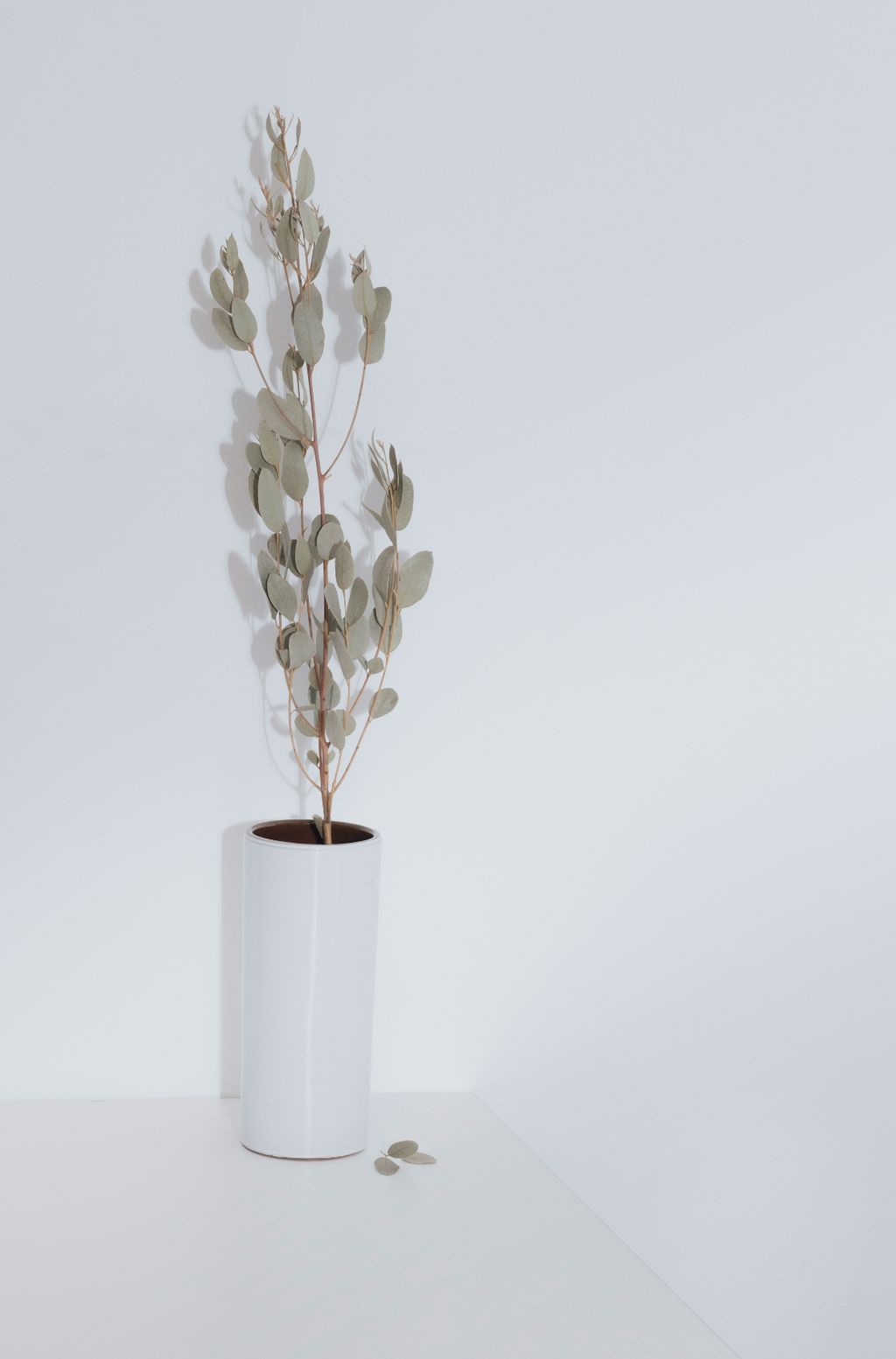 Eucalyptus Spearmint 100 ml Reed Diffuser - Daily Favorite