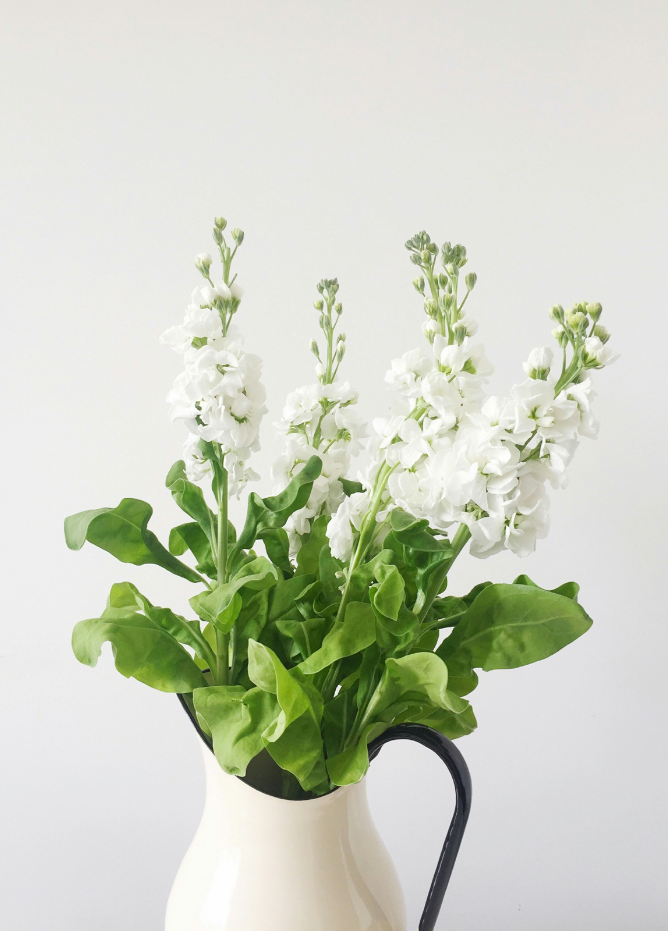 White Flowers 15.7 oz Liquid Hand Soap - Sink Essential