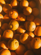 Sand + Paws Golden Citrus 12 oz scented candle - Fine Fragrance