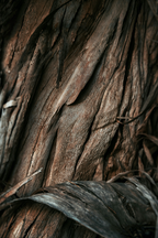 Vanilla Sandalwood 110 ml Room Spray - Room Refresh