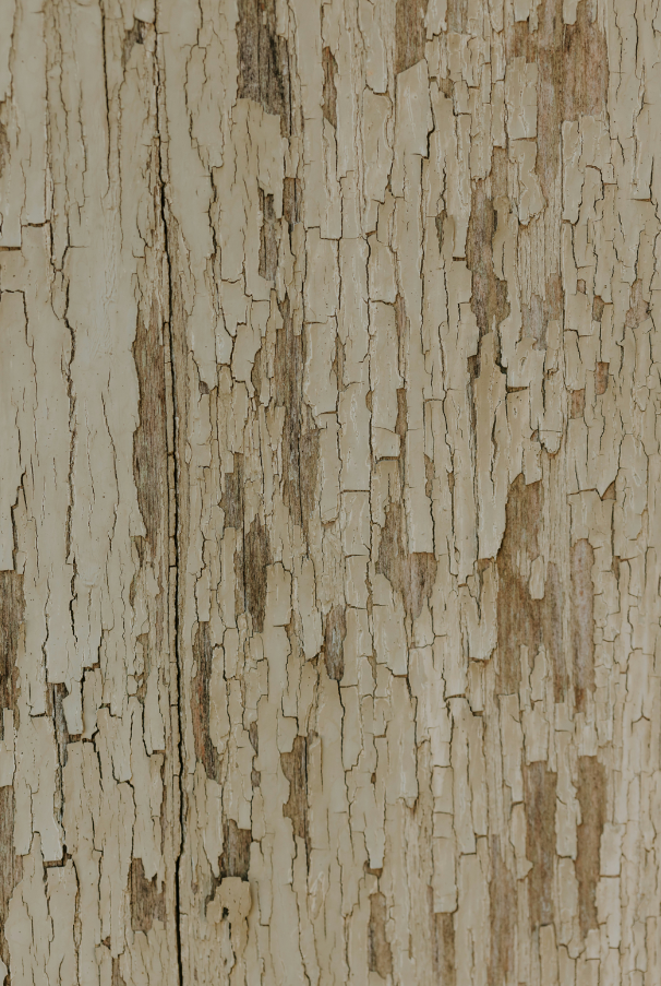 Santal Vanilla 12 oz scented candle - Home Fragrance