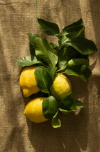 Olive Lemon 12 oz scented candle - Home Fragrance
