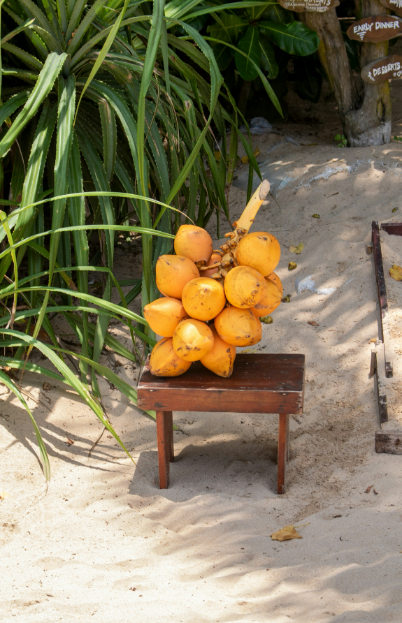 Coconut Blossom 50 ml Perfume Oil Dropper - Fine Fragrance