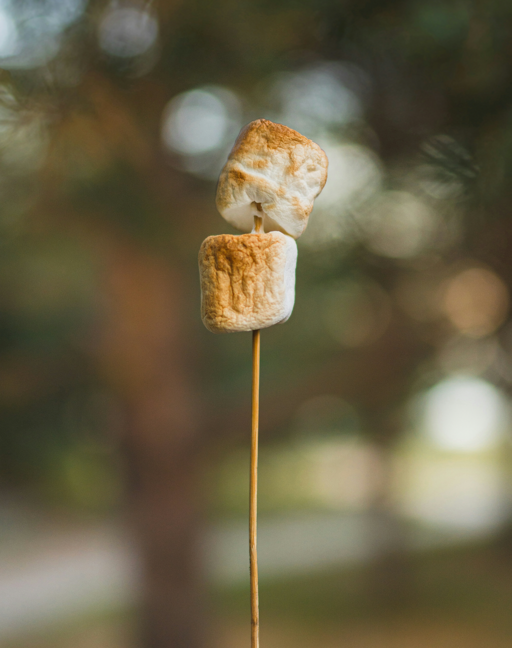 Toasted Marshmallow 50ml Perfume Oil Dropper - Fine Fragrance