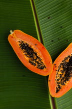 Island Papaya 10 oz scented candle - Home Fragrance
