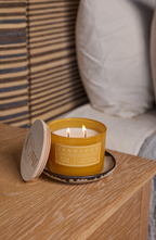 Apple Cider 12 oz scented candle - Home Fragrance