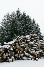 Firewood & Silver Fir 6 oz scented candle - Home Fragrance
