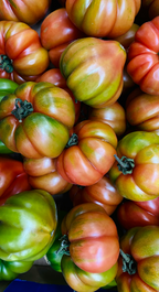 Sicilian Tomato 12 oz scented candle - Home Fragrance