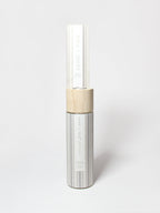 Tropical Guava 100 ml Reed Diffuser - Daily Favorite