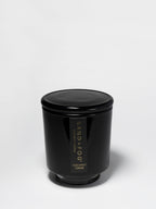 Coconut Creme 8 oz scented candle - Home Fragrance