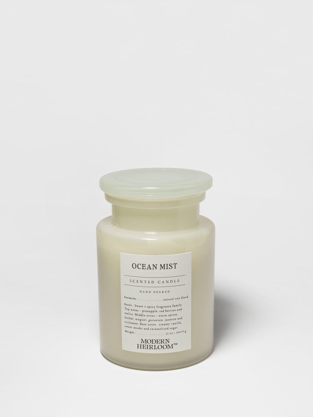Ocean Mist 12 oz scented candle - Home Fragrance
