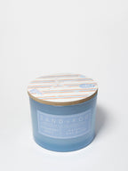 Strawberry Spritz 12 oz scented candle - Home Fragrance