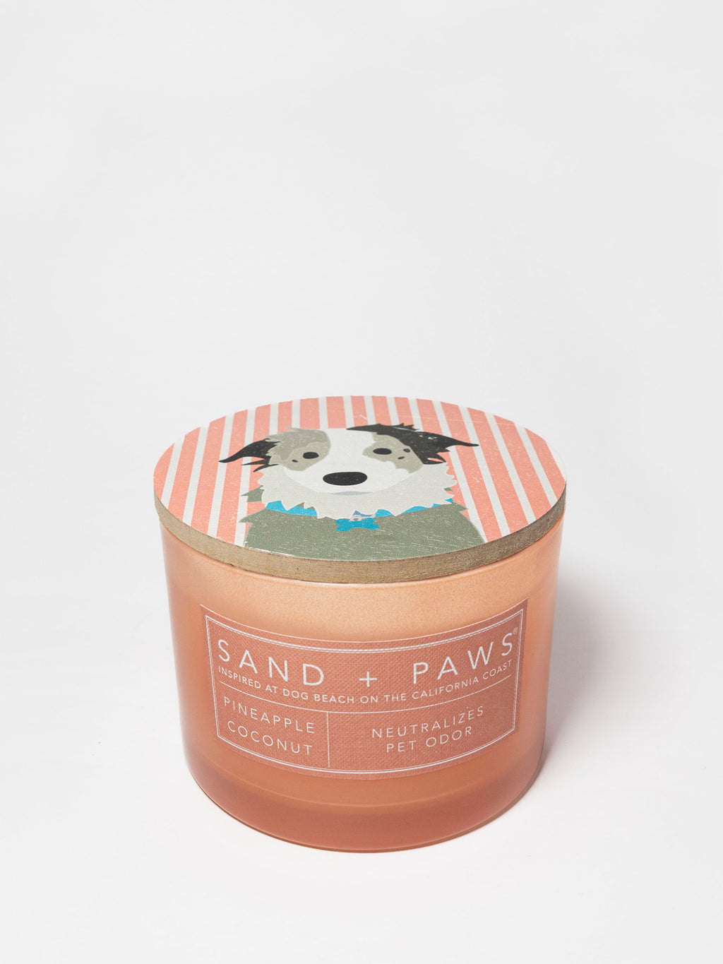 Sand + Paws Pineapple Coconut 12 oz scented candle - Fine Fragrance