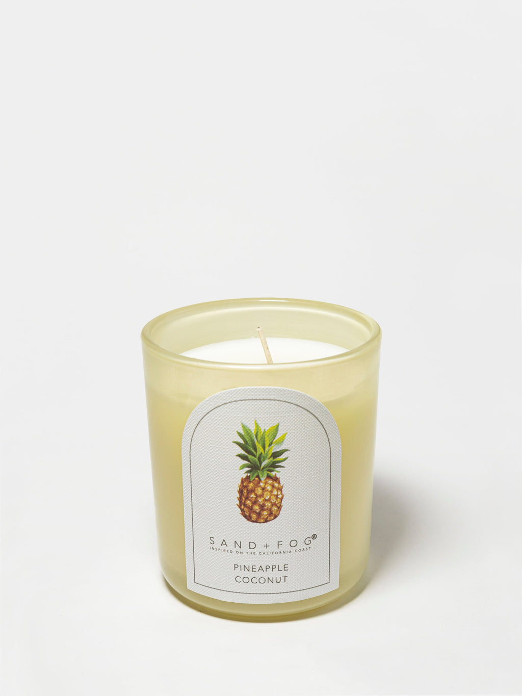 Pineapple Coconut 10 oz scented candle - Home Fragrance