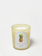 Pineapple Coconut 10 oz scented candle - Home Fragrance