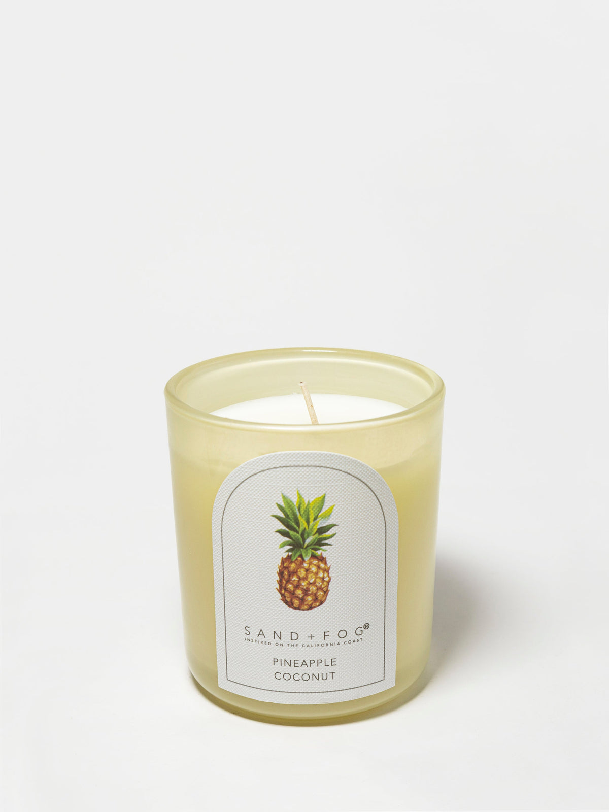 Pineapple Coconut 10 oz scented candle - Home Fragrance