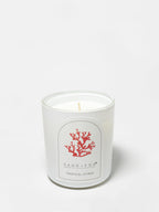Tropical Citrus 10 oz scented candle - Home Fragrance