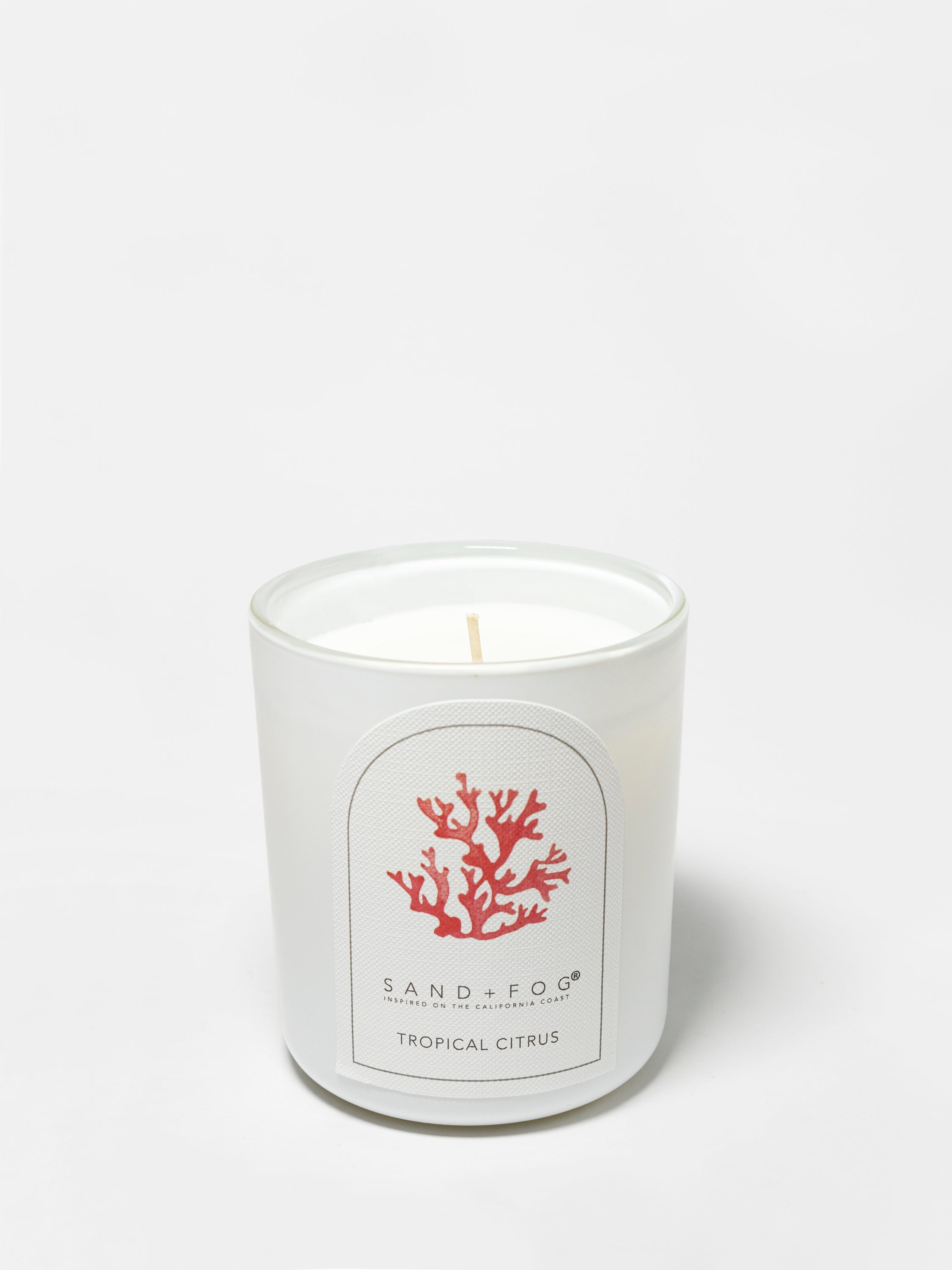 Tropical Citrus 10 oz scented candle - Home Fragrance