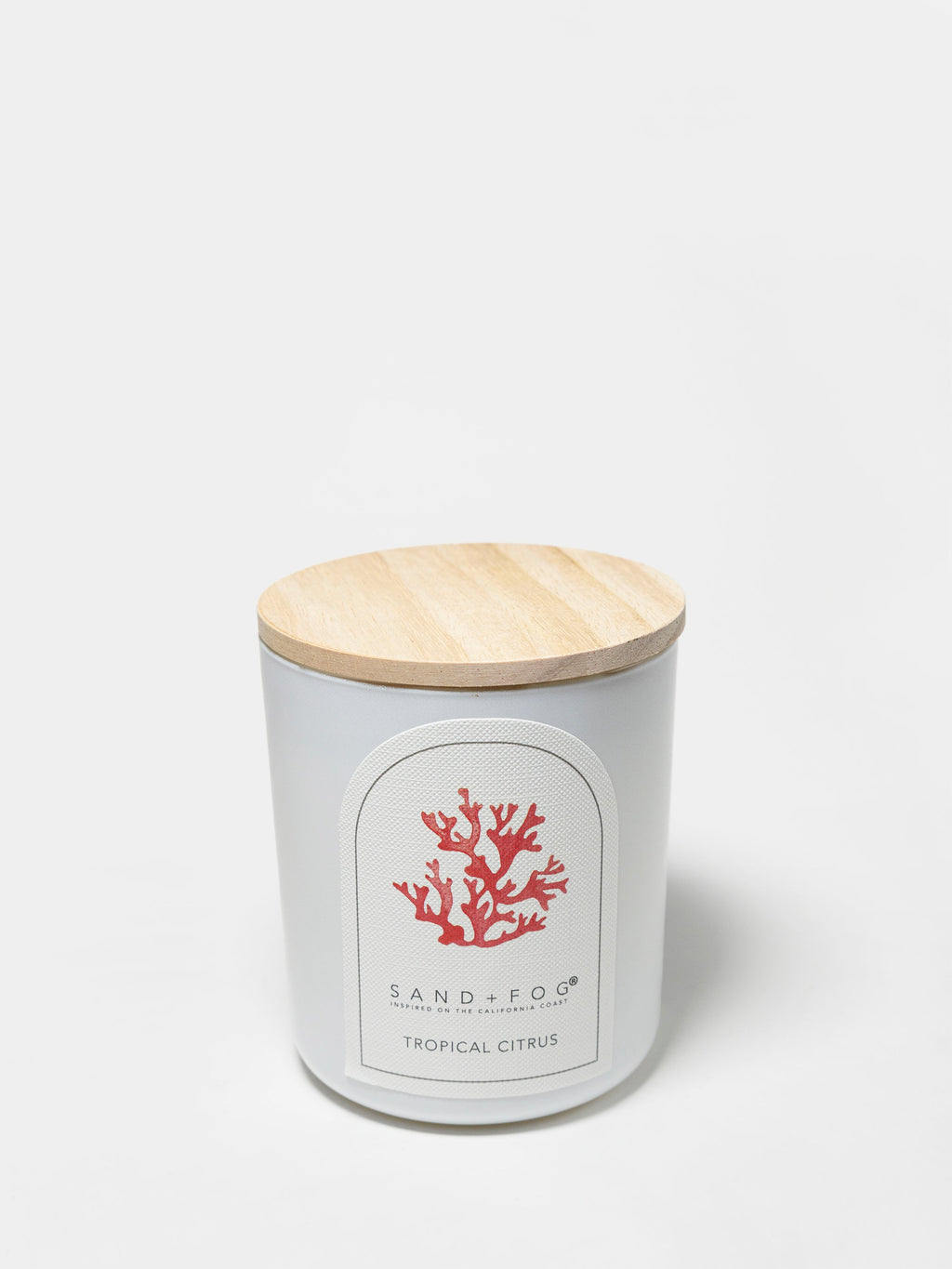 Tropical Citrus 10 oz scented candle - Home Fragrance