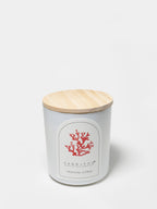 Tropical Citrus 10 oz scented candle - Home Fragrance