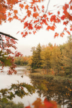 Autumn Woods & Apple 12 oz scented candle - Home Fragrance