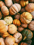 Pumpkin Harvest 15.2 oz Liquid Hand Soap - Sink Essential