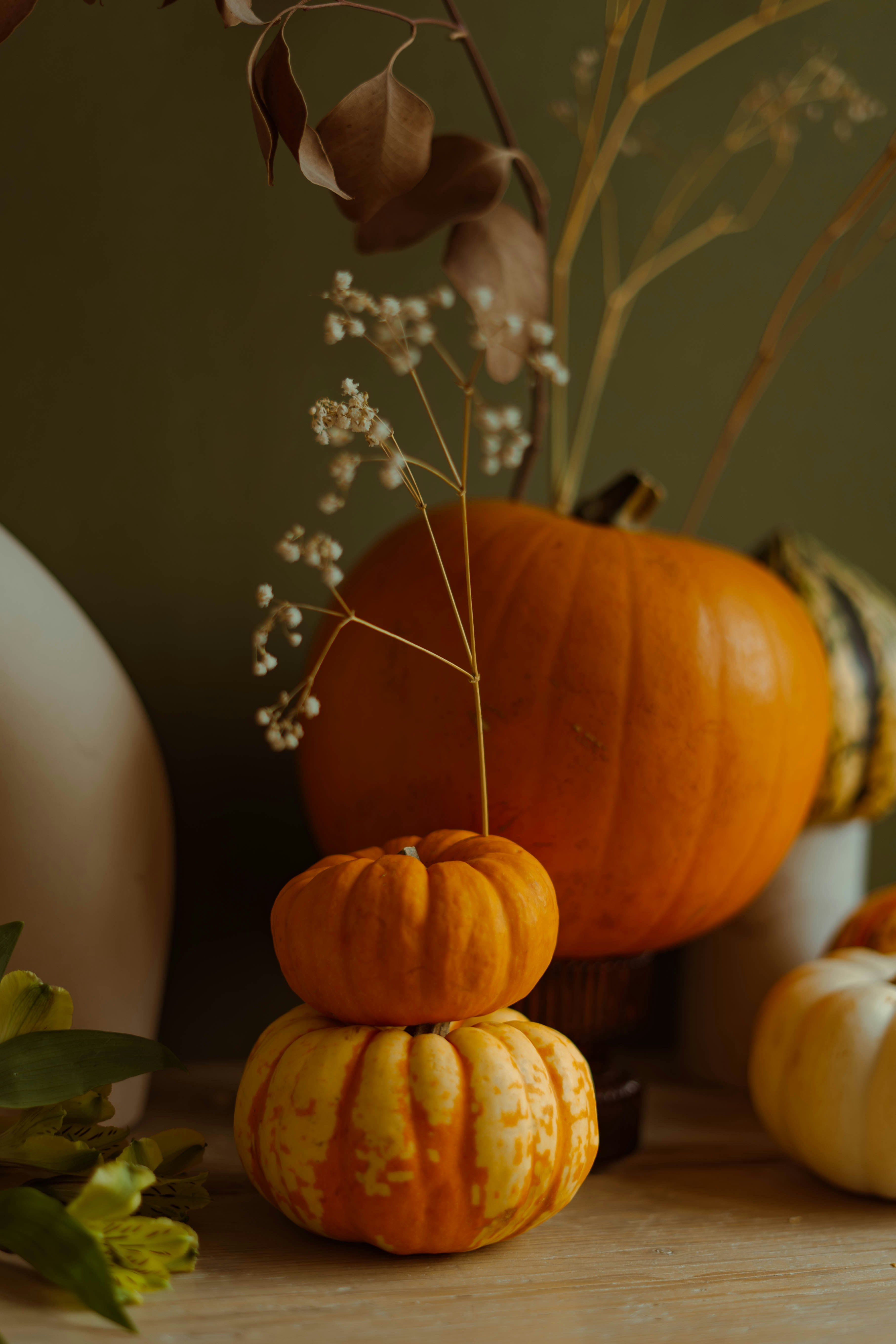 Pumpkin Coconut 21 oz scented candle - Home Fragrance