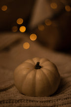 Vanilla Pumpkin 12 oz scented candle - Home Fragrance